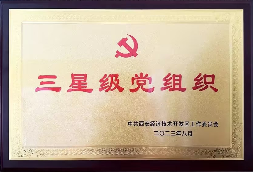 西安彩晶光电科技股份有限公司党支部 获“三星级党组织”荣誉称号